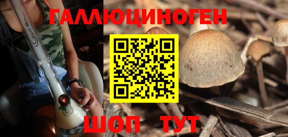 Псилоцибиновые грибы MAGIC MUSHROOMS Ишимбай