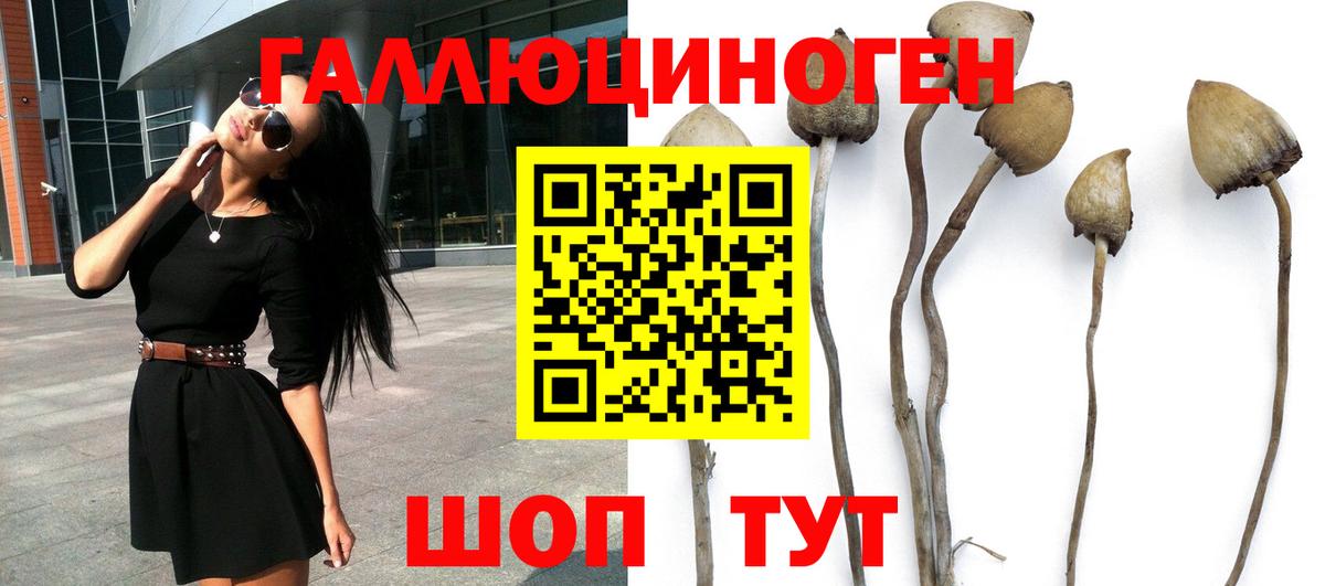 Ишимбай  Псилоцибиновые грибы Cubensis  Вход с VPN 